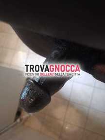 senegalese