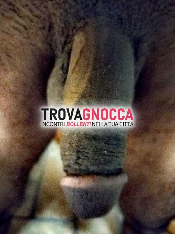 a casa mia o casa tua 🇺🇸🇺🇸
massaggio corpo sesso erotico massaggio 🥰🏠🏡🏨🚘🚗🚗a casa mia e casa tua o albergo fornisco sempre buon servizioinvia messaggio al corpo privacy tutto e senza preoccupazioni non mi limito tempo