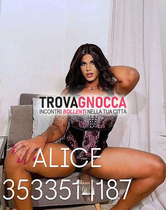 🇧🇷😈💦🥳🌹 piÙ bella transessuale alice ferreira 🌹🥳💦😈🇧🇷