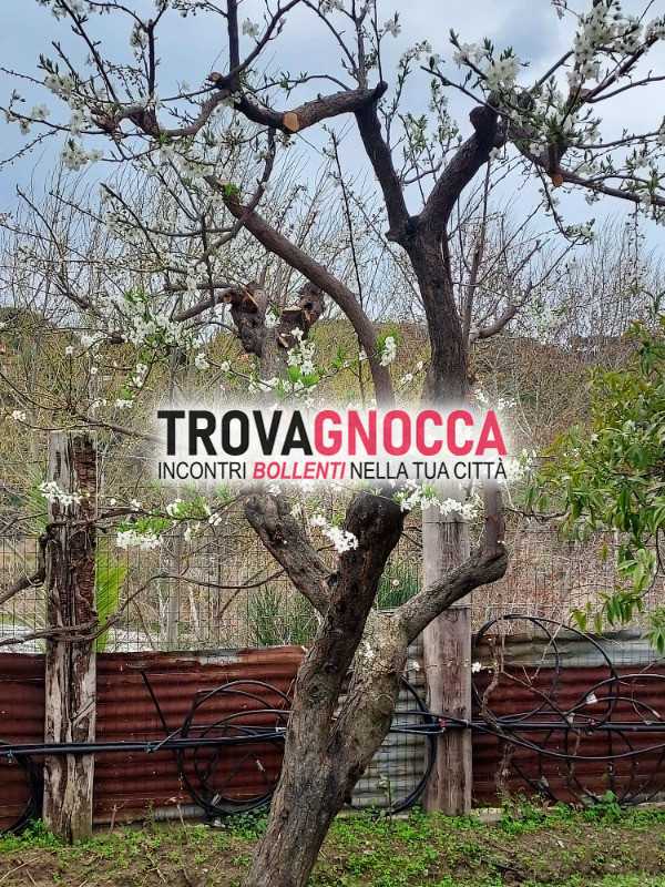 passivo sottomesso cerco maturo robusto attivo dominante .