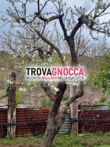 passivo sottomesso cerco maturo robusto attivo dominante .