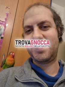 divertimento uscita o anima gemella