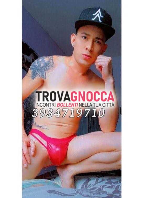 san sisto gabriel 🦊 mestro bocchino🍆💦 giovane e molto versatile pronto realizzare ogni tua fantasia