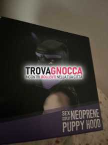 regina bdsmβοΈβπ₯βοΈπ₯π£β regina bdsmβοΈβπ₯βοΈπ₯π£β
