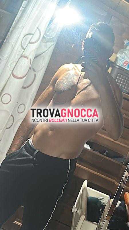 qui voi