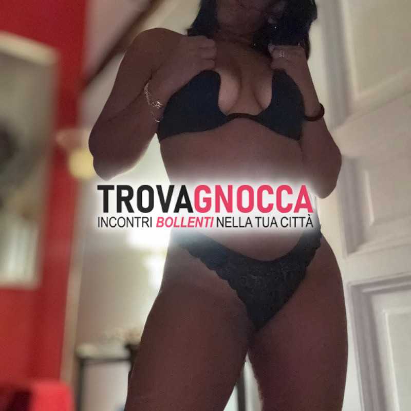novità camilluccia