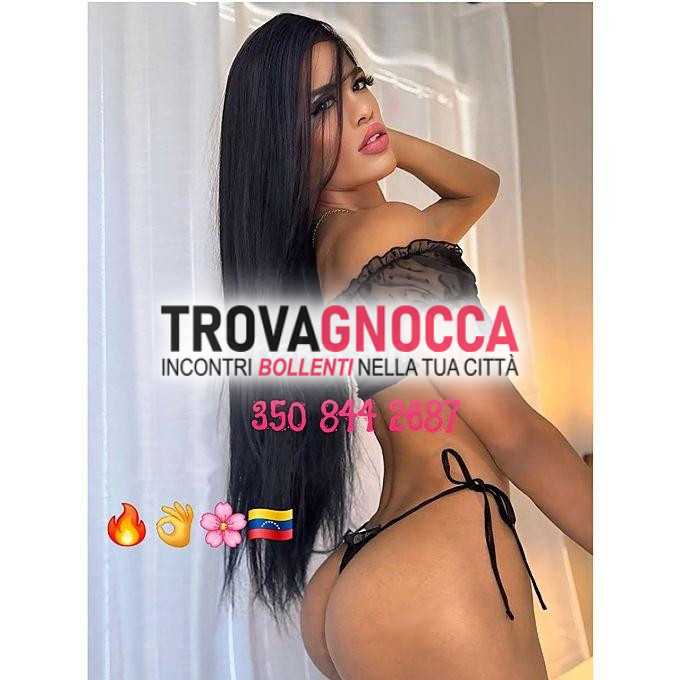 🐷🐷🐷 primissima volta catalina assoluta 🐷 transessuale 21cm reale 🐷 bocche sensualitÀ ingoio e pioggia dorata non fregatura 🐷