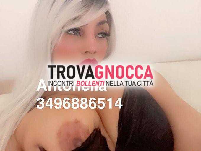 ospizio⭐️antonella🔥 fresca giornata🔞 seno naturale e vagina stretta attesa farti vivere massaggi rilassanti e prostatici oltre esperienze orali urlo non perdere questa occasione 💄