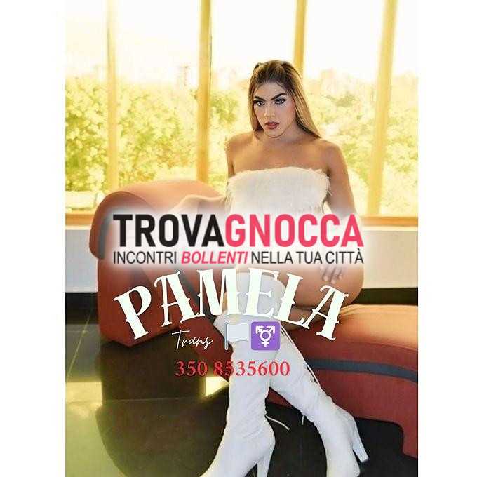 🏳️‍⚧️👑 sono pamela transessuale che è qui padova offrirti momenti puro piacere. ciò che vedi è 100 autentico. 🎁🌹