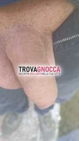 cerco trans e trav