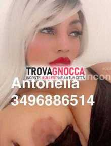 carpi⭐️antonella 🔥 nuova giorno sensualità al top offro massaggi rilassanti e prostatici maestro seno naturale mozzafiato e vagina stretta che non dimenticherai. ti aspetta un'esperienza orale urlo e tanto altro mio strap-on. 💄 carpi⭐️antonella 🔥 nuova giorno sensualità al top offro massaggi rilassanti e prostatici maestro seno naturale mozzafiato e vagina stretta che non dimenticherai. ti aspetta un'esperienza orale urlo e tanto altro mio strap-on. 💄