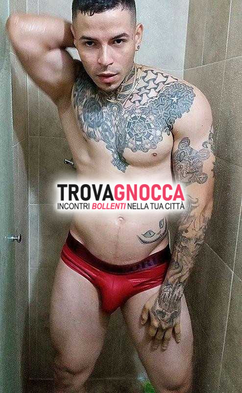 ‼️‼️💯✅✅bull top💎 🔝elevato‼️‼️💯✅ colombiano🇨🇴 ora disponibile sensuale 19 cm💯 reale 💎💎💎💯‼️‼️ incandescente♨️