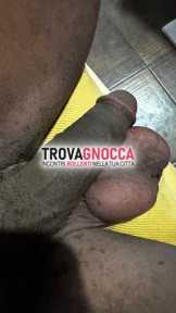 disponible oggi disponible oggi