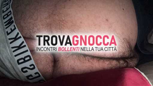 orsetto cerca att ora