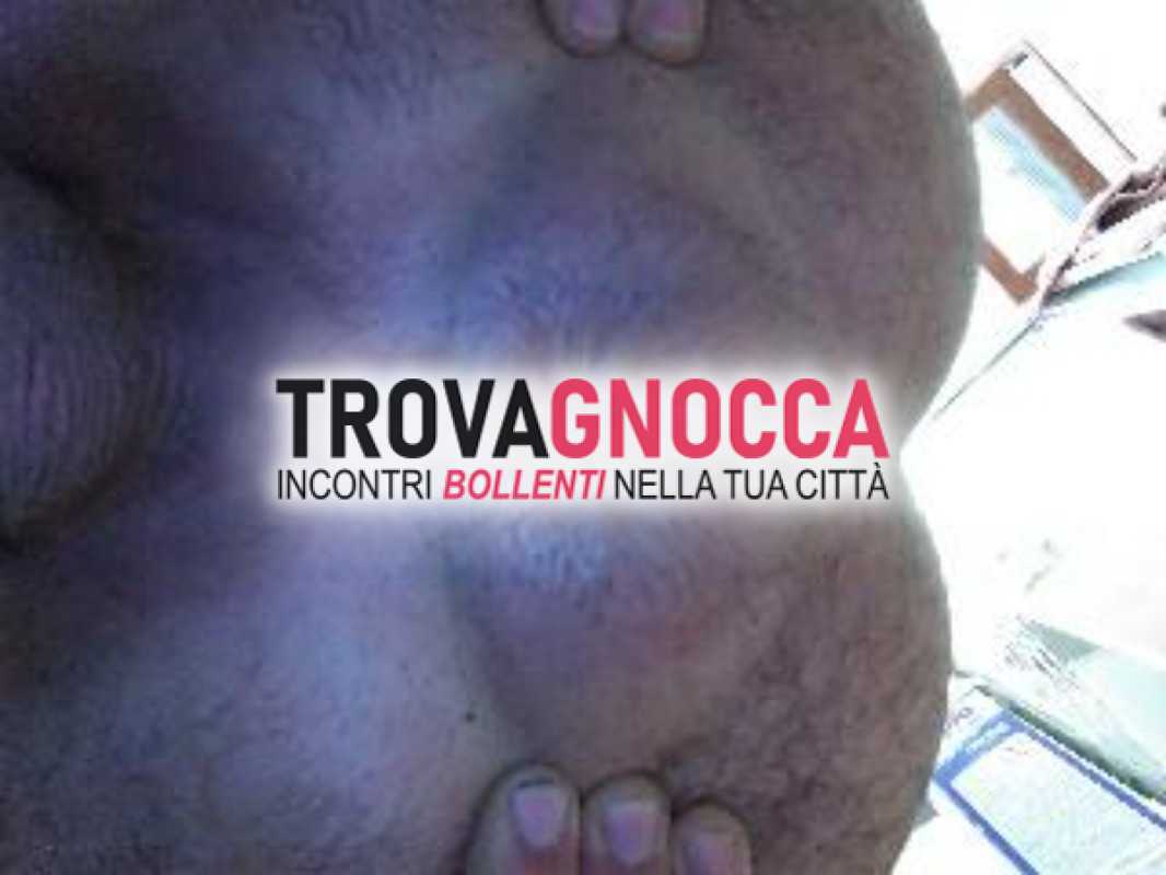 ingoio sperma e piscia dopo che succhiato e mi cavaichi vacca