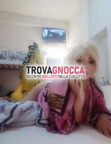 bocchinatrans