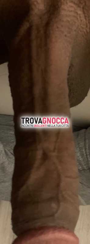 toro donne vogliose
