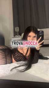 no perdi tempo no perdi tempo