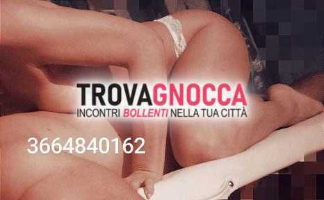 provincia lodi provincia lodi
