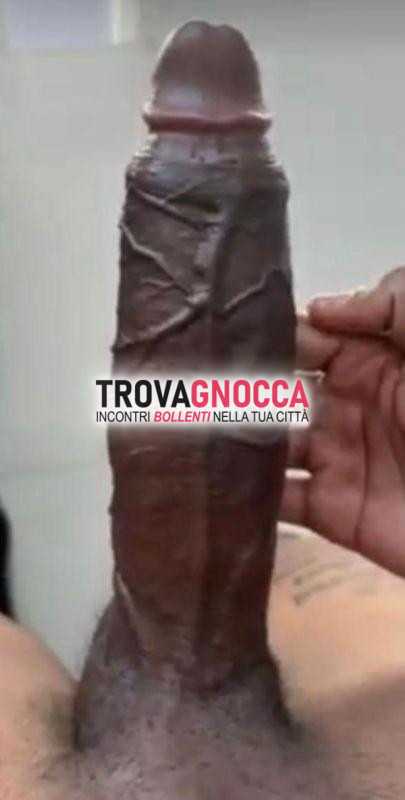 alexandre 24 cm brasiliano 27 anni È apenna arrivato 🔥 fuoco e passione 💥 anche oggi ti raggiungo io dove desideri