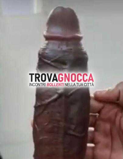 alexandre 24 cm brasiliano 27 anni È apenna arrivato 🔥 fuoco e passione 💥 anche oggi ti raggiungo io dove desideri