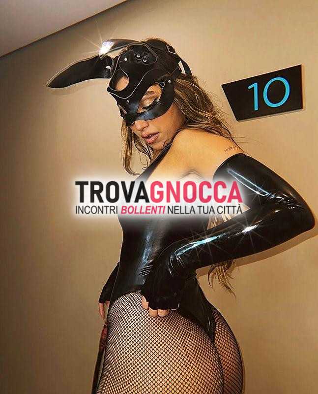 novità zona