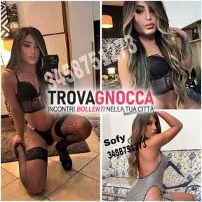 grosseto tribunale 🔝🍎 novitÀ 🍎 transessuale sofy giovanissima attivissima 🔥 🍼 bambolina calore alla tua disposizione 20 cm 🍌🍌culo e minchia marmo p