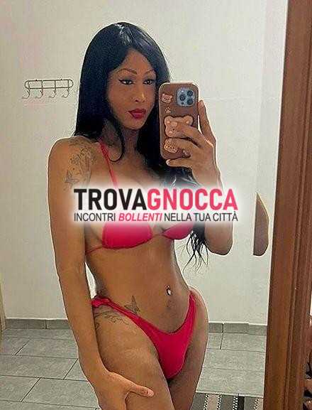❌❌nuova imola paula transessuale xxl incredibile dotata e pronta essere gustata biberon pieno foto reale senza fregatura‼️❌❌