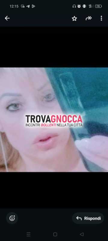 bella gattina biricchina desenzano