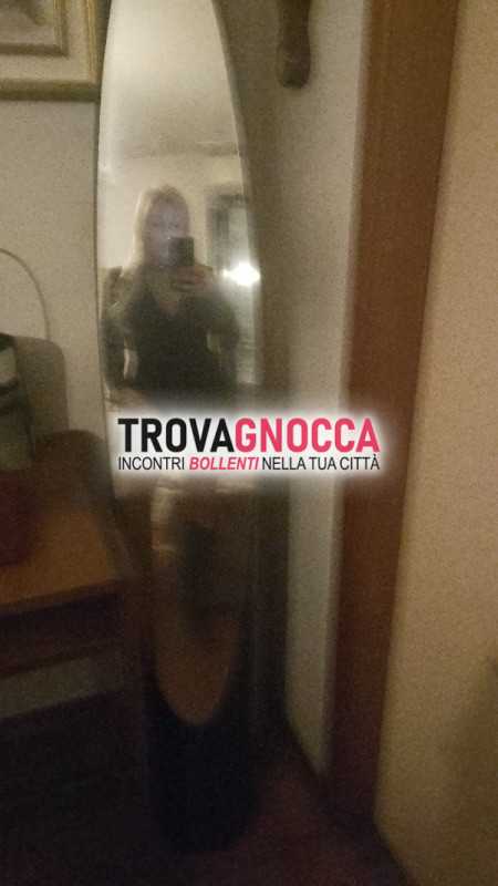 bella gattina biricchina desenzano