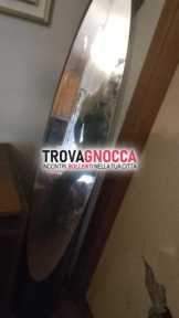 bella gattina biricchina desenzano