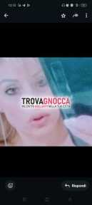 bella gattina biricchina desenzano