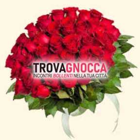 ricerca amante segreta