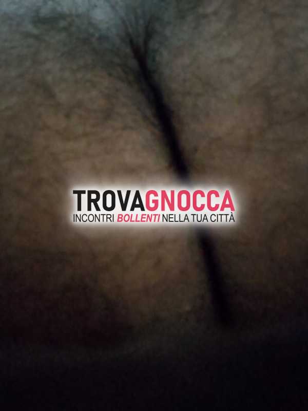 cerco attivo andare pineta