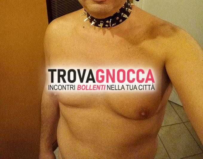 schiavo cerca coppia dominante non mercenaria che sia disponibile ospitarmi.