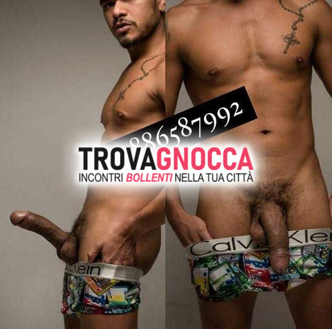fantastico mulatto apenna appena giunto bologna