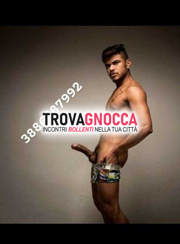 fantastico mulatto apenna appena giunto bologna