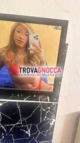 mycaella mycaella