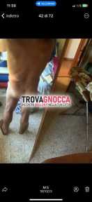 in cerca