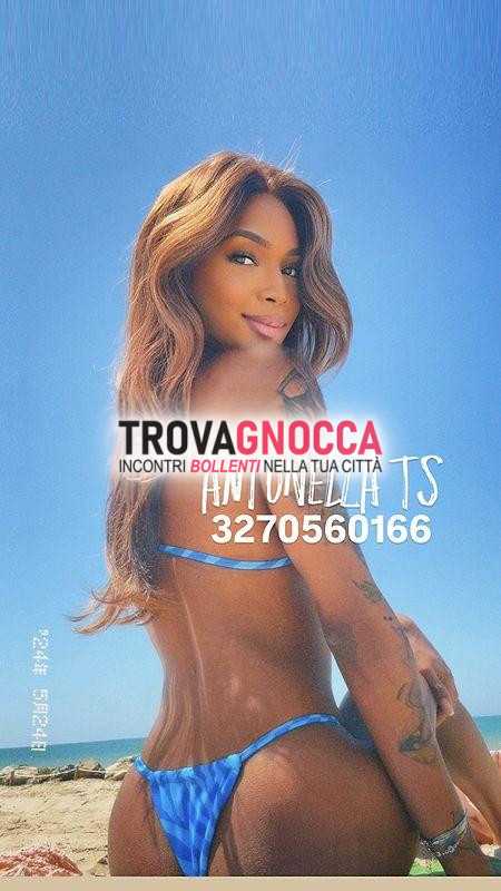 🎀 antonella baby transessuale 🎀 esperienze girlfriend 👩🏽‍❤️‍💋‍👨🏻 attenzione anche pass 🍆 💦 tornata soddisfare ogni tuo desiderio 1000 reale senza delusioni 😘 🔥 ultima chiamata