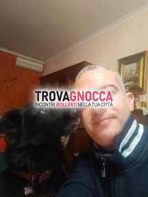 cerco