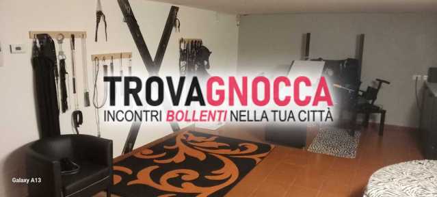 studio atrezzato studio atrezzato