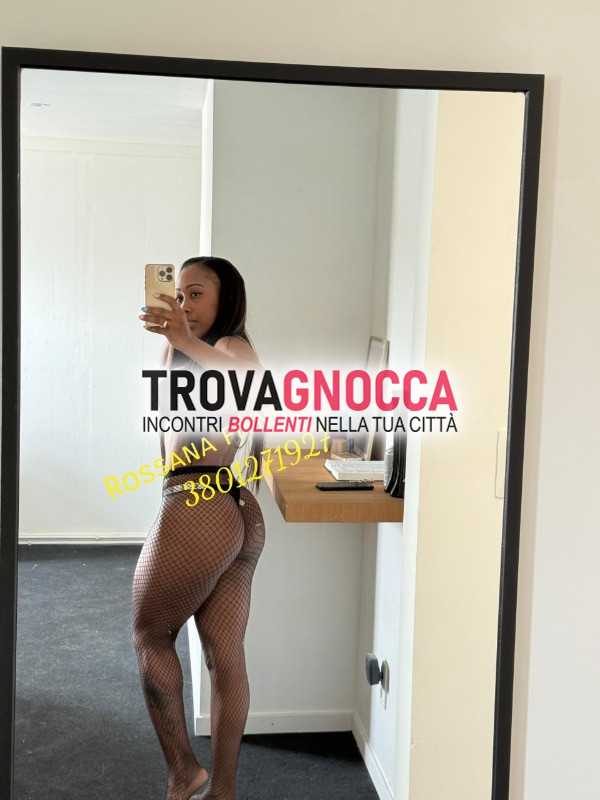 novità