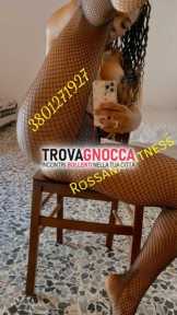 novità novità
