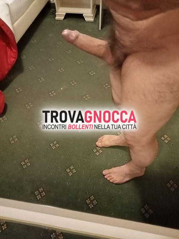 toro doma tua amata.