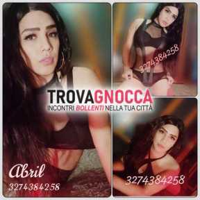 a bologna È appena arrivata spectacolare abril transessuale attiva e passiva 🔥 preparati massaggi al top che ti faranno perdere testa giocattolo duro e pieno panna dolce sessualitÀ sexy e passionale garantita a bologna È appena arrivata spectacolare abril transessuale attiva e passiva 🔥 preparati massaggi al top che ti faranno perdere testa giocattolo duro e pieno panna dolce sessualitÀ sexy e passionale garantita