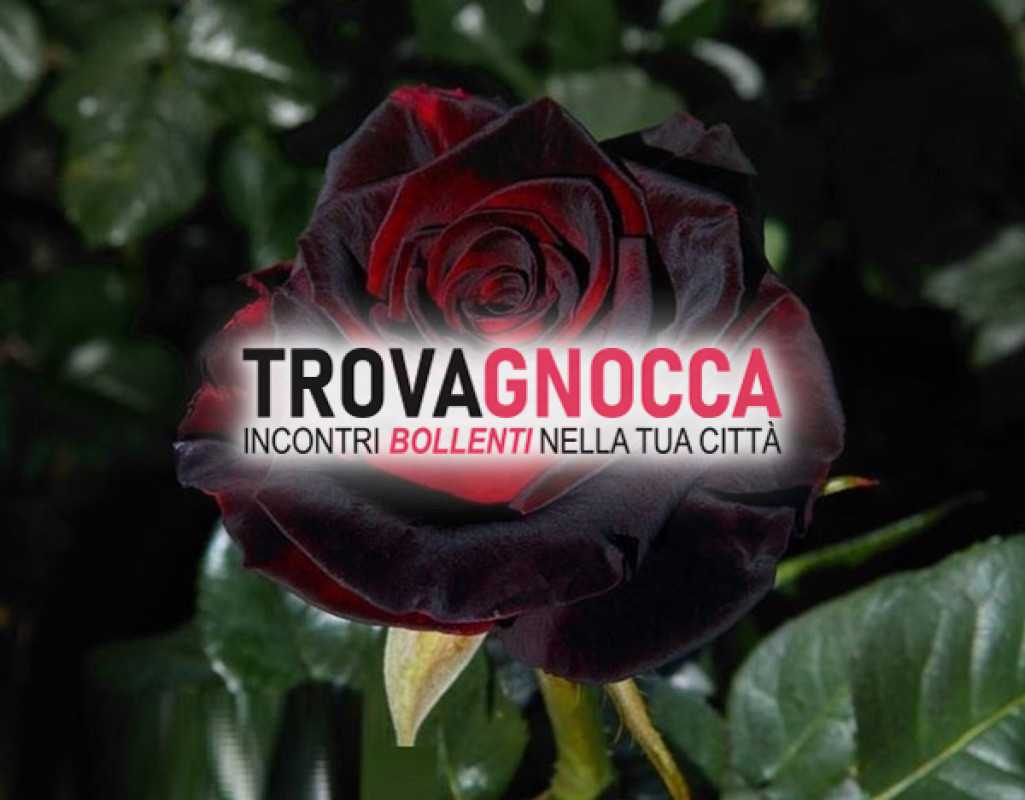 serio e discreto cerca ragazze